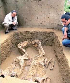 陕西首次发现大型戎人墓地